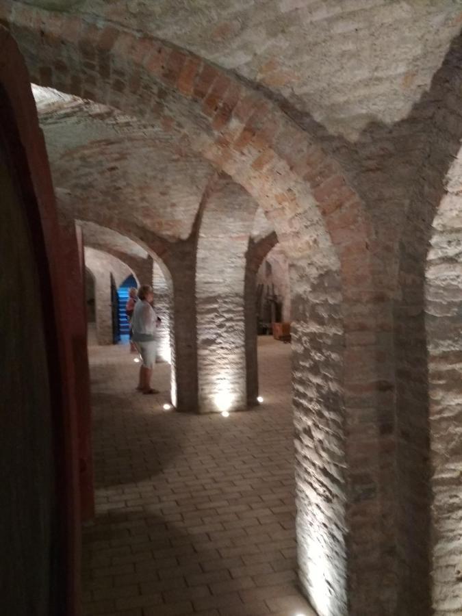 Golya Vendeghaz Appartement Tiszaug Buitenkant foto