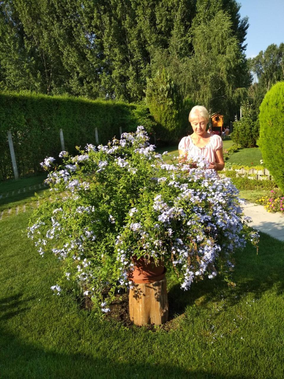 Golya Vendeghaz Appartement Tiszaug Buitenkant foto